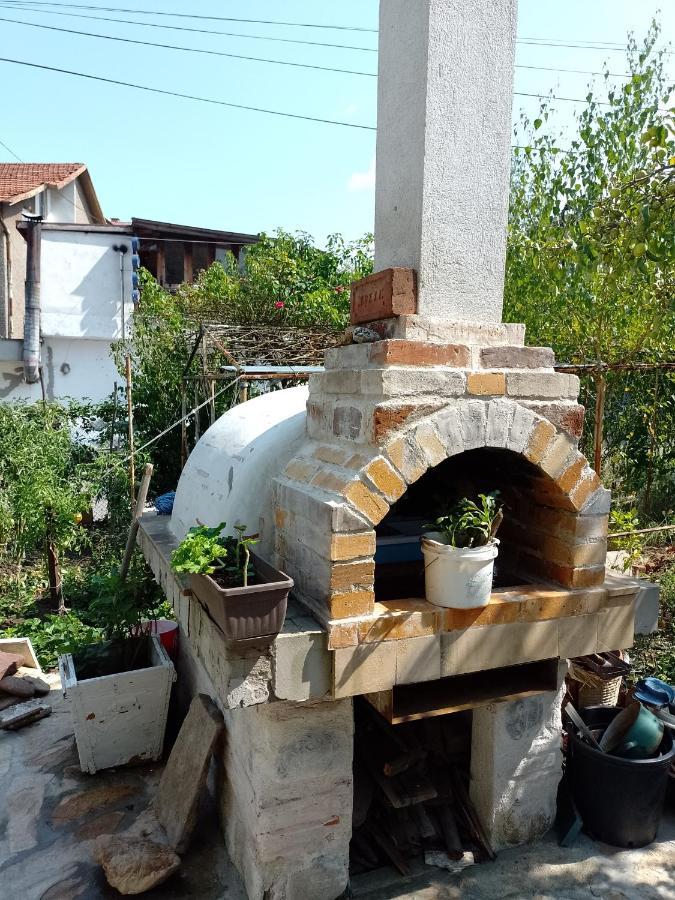 Apartment цвят бяло *